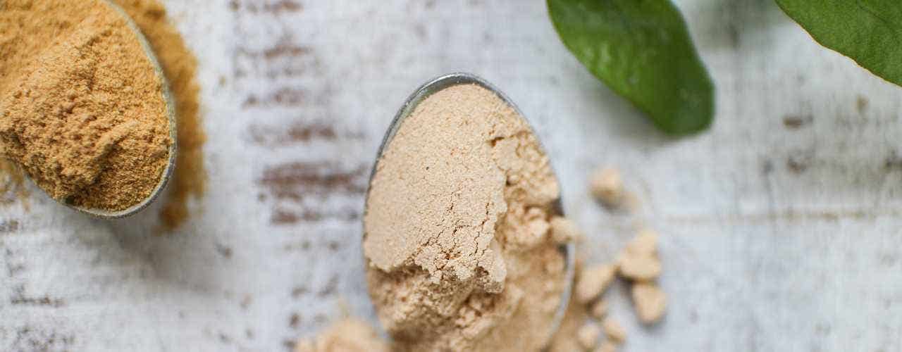 What is Mesquite Powder? What, Why & How Healthy Goods