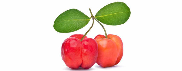 5 Reasons to Love Acerola Cherry
