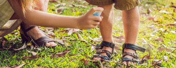Homemade Bug Repellent Recipes: Water-based & Oil-based