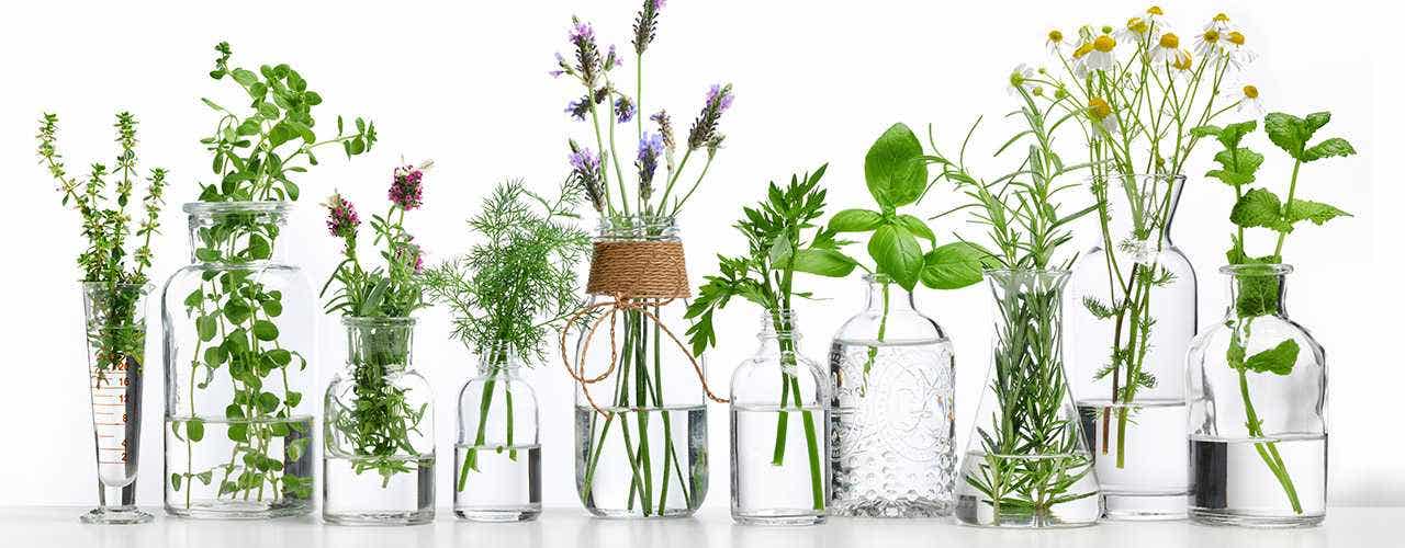 What are Digestive Bitters?