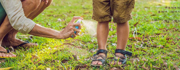 DIY Bug Repellent Recipes: Water-based or Oil-based