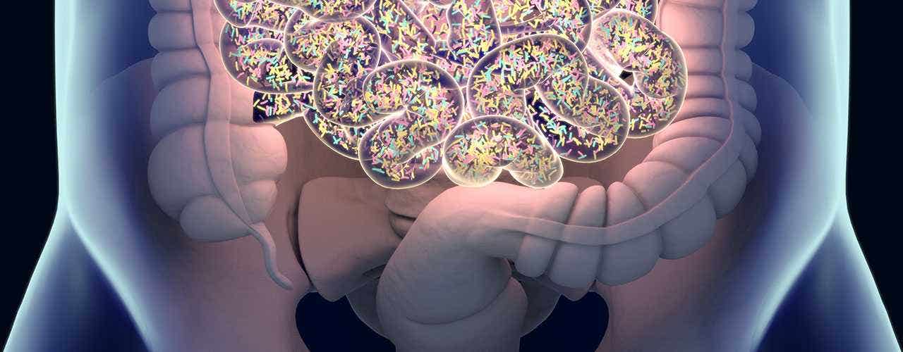 Meet Your Microbiome & What It Does For You (Part 1 of 3)