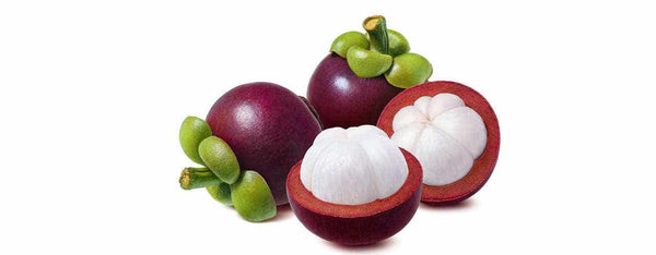 Mangosteen Overview