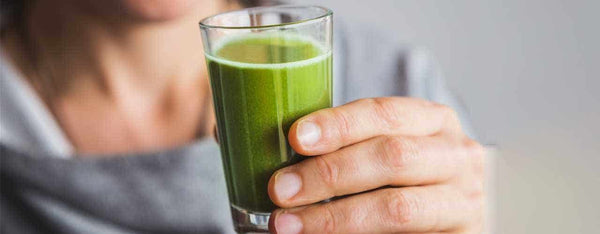 Healthy Holiday Shots