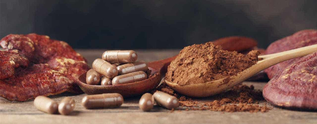 Reishi Mushroom Tea