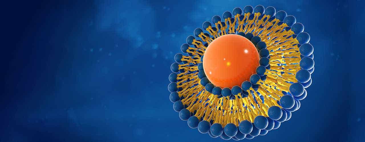 What Are Liposomes?