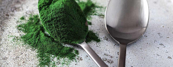 10 Health Benefits of Spirulina