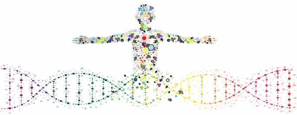 What Is Functional Medicine?