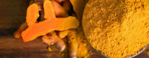 Combining Hemp Extract and Curcumin