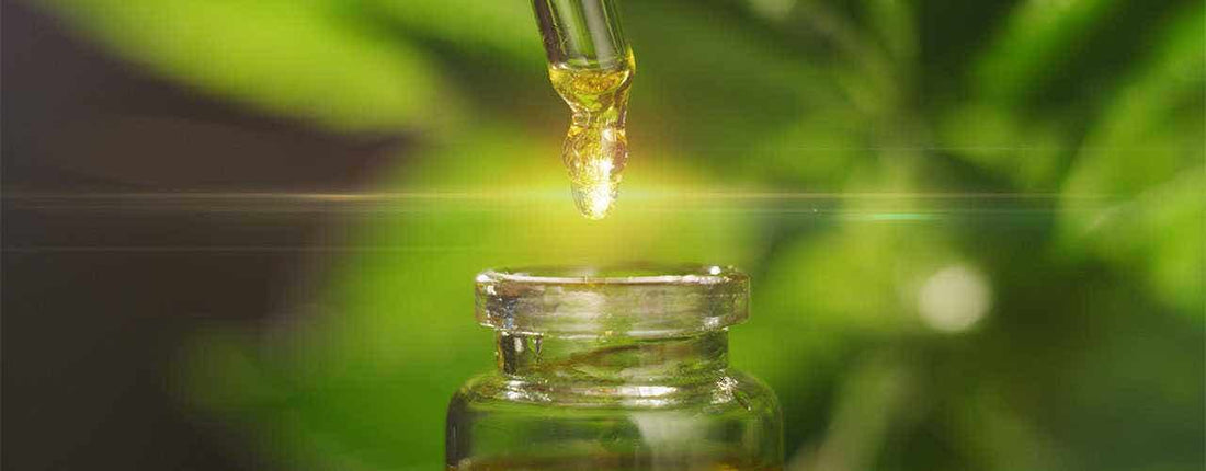 Priorities When Buying and Producing a CBD Product