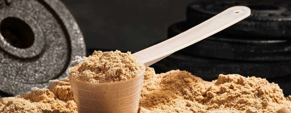 Your Comprehensive Guide to Whey Protein, Pea Protein and Rice Protein