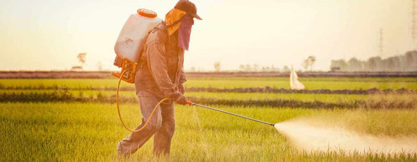 All About Glyphosate and How To Detox It