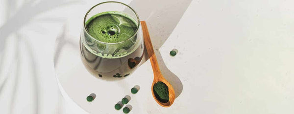 Chlorella Detox Shot