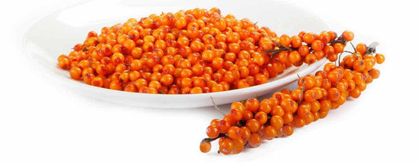 Sea Buckthorn's Skin and Health Benefits