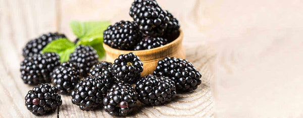Benefits of Blackberry Powder