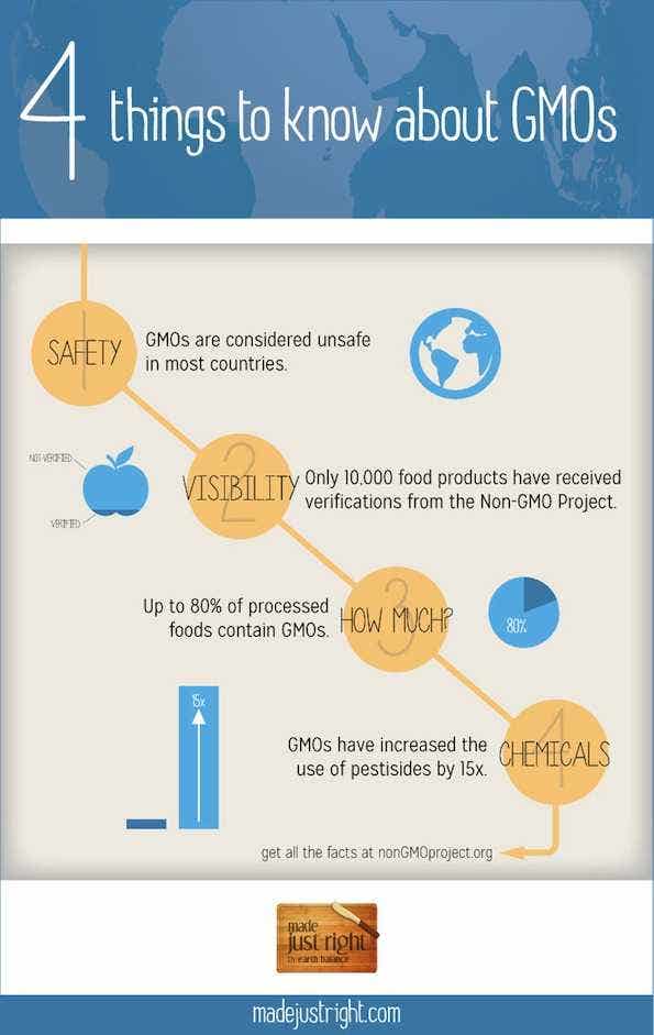 4 Key Points about GMOs