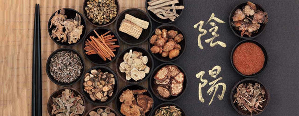 Using Traditional Chinese Medicine for Lung Health