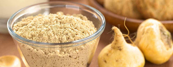What is Maca Root?