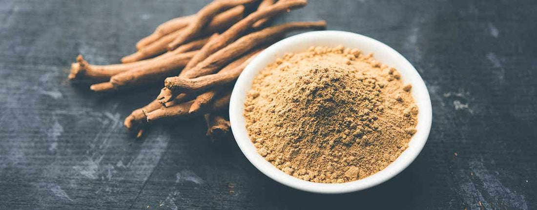 Ashwagandha For Male Fertility