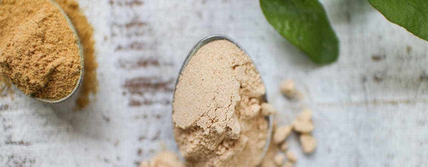 What is Mesquite Powder? What, Why & How