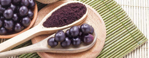 5 Reasons to Love Acai