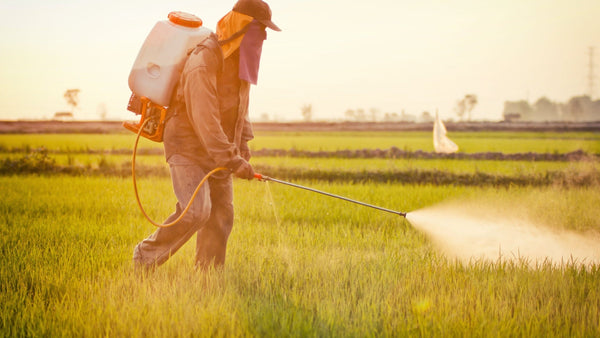 All About Glyphosate and How To Detox It