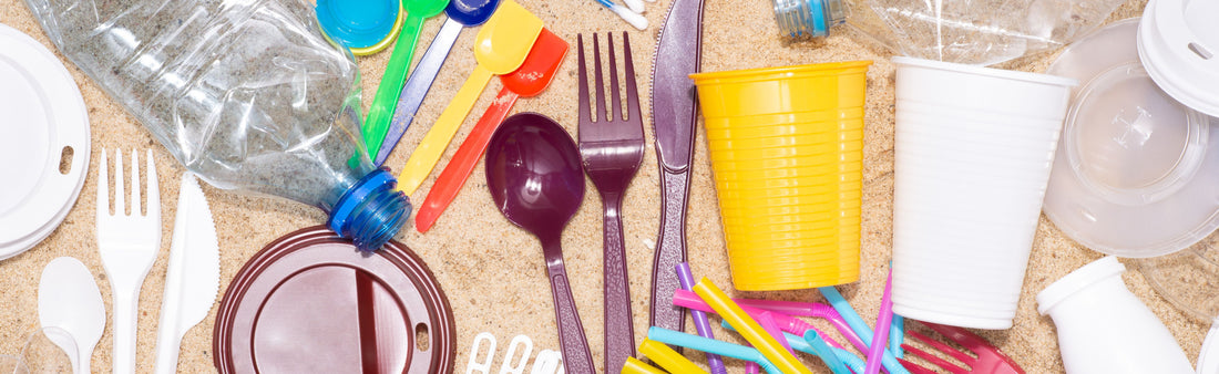 BPA: Where Is This Xenoestrogen Lurking? (Part 1 of 2)