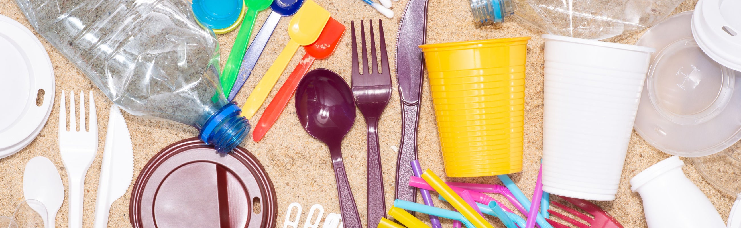 BPA: Where Is This Xenoestrogen Lurking? (Part 1 of 2)