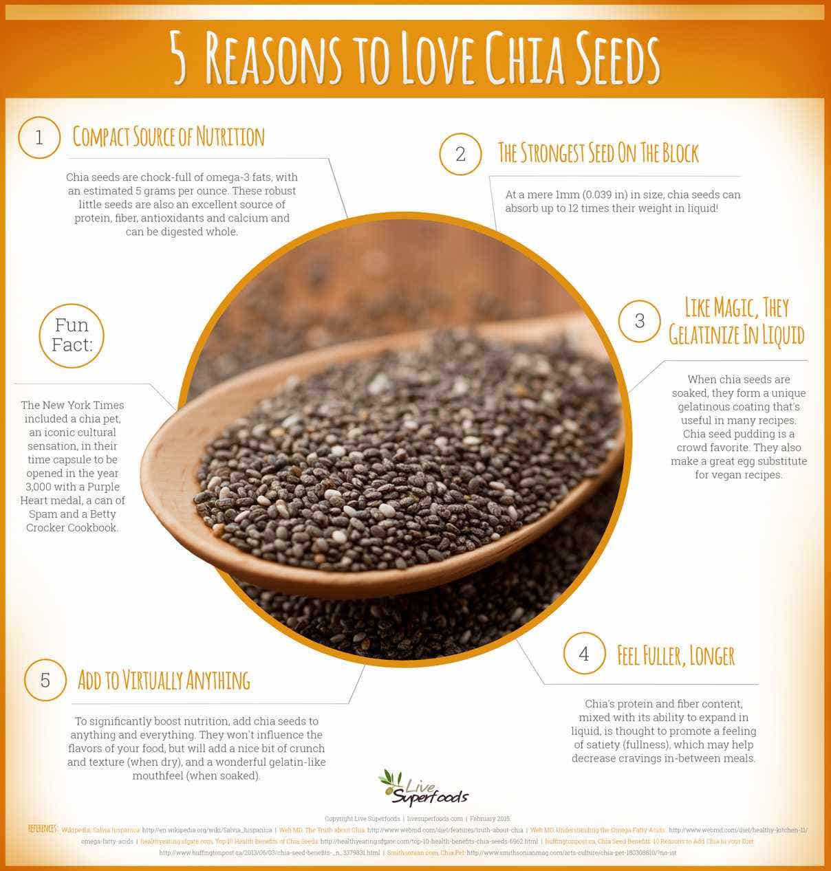 5 Reasons to Love Chia Seeds [Infographic] Healthy Goods