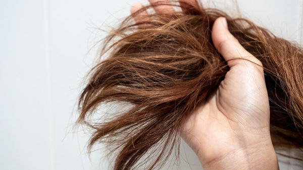 Hair Mineral Analysis Test: What It Reveals About Thyroid Function