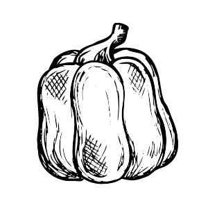 Hydrate This Fall with Water-Rich Foods