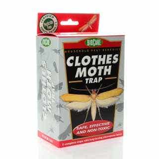 Is Your Closet Hosting a Clothes Moth Smorgasbord?