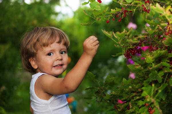 Is Your Child Getting Enough Iron?