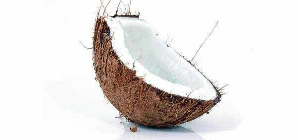 Dr. Oz Touts Coconut Palm Sugar