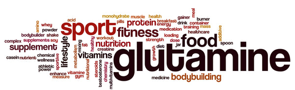 Glutamine Supports Immune Function