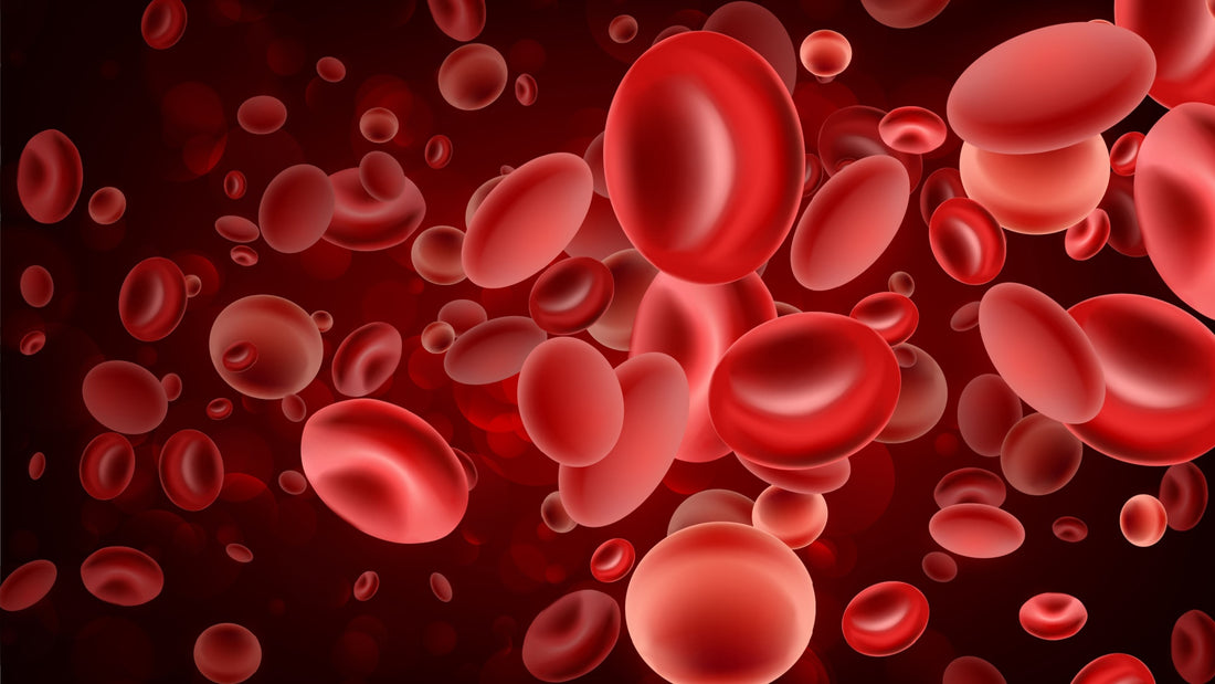 10 Ways High Ferritin (Iron) Levels Impact Your Health