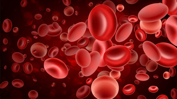 10 Ways High Ferritin (Iron) Levels Impact Your Health