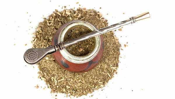 Yerba Maté for Stronger Bones