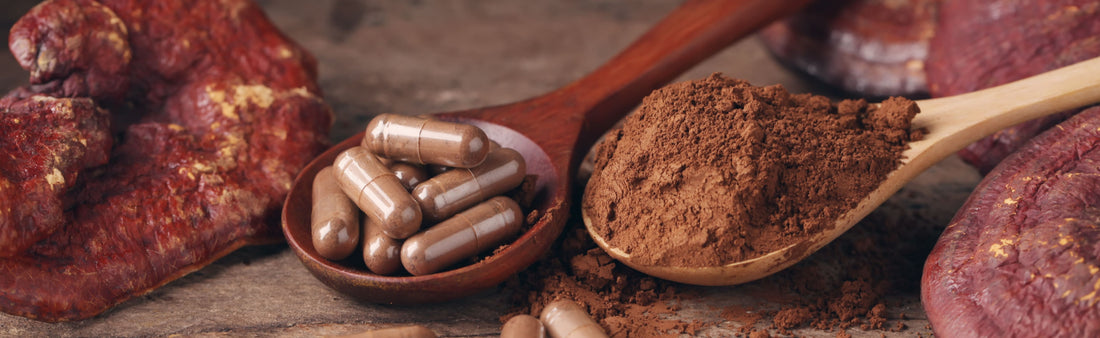 Mushrooms and Immune Support