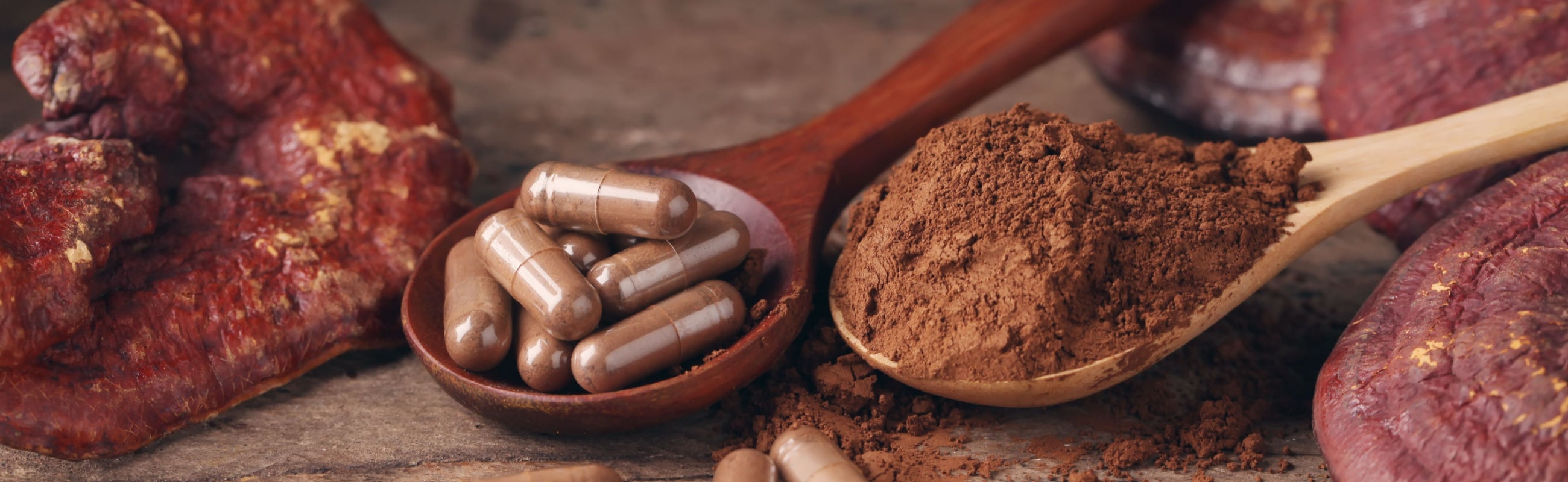 Mushrooms and Immune Support