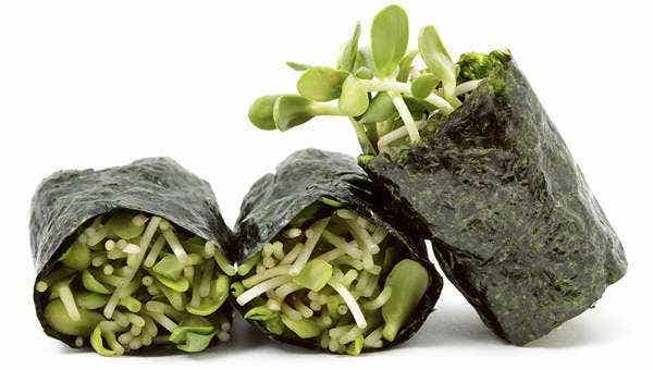 Nori Sprout Roll-Ups - Vegan/Raw/GF Recipe