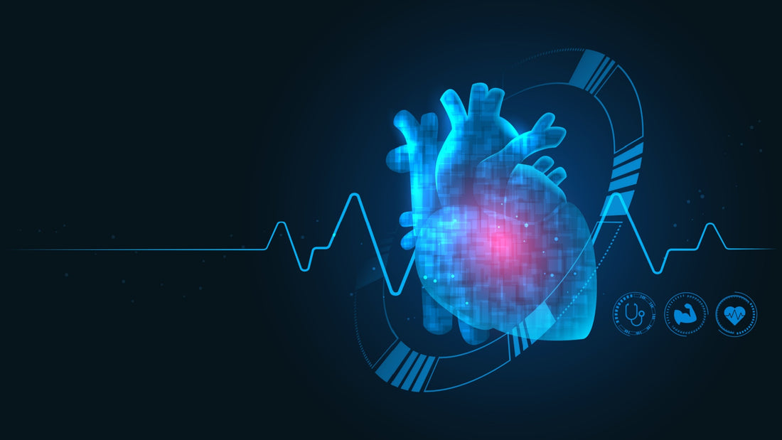 Optimizing Vascular Health: The Benefits of Nutri-Flow Enzyme Blend