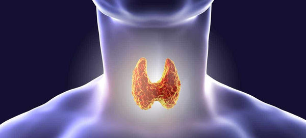 Top Five Nutrients for Thyroid Health