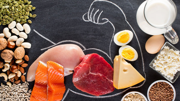 Reasons To Include Protein in your Sports Nutrition Diet