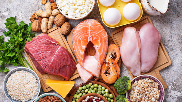 Which Protein Is Right For You?