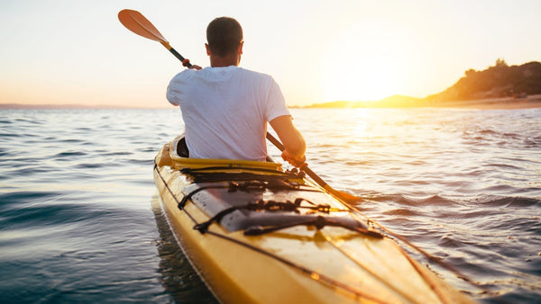 Remove Xenoestrogens To Support Your Endocrine System and Hormone Balance