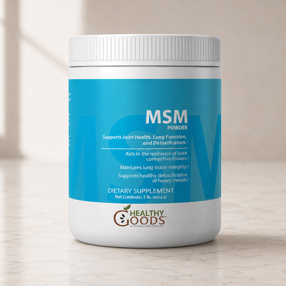 MSM Powder