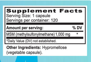 MSM Capsule